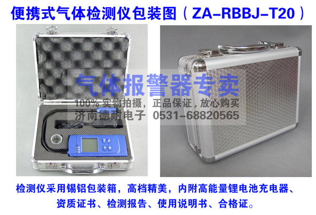 便携式可燃气体检测仪